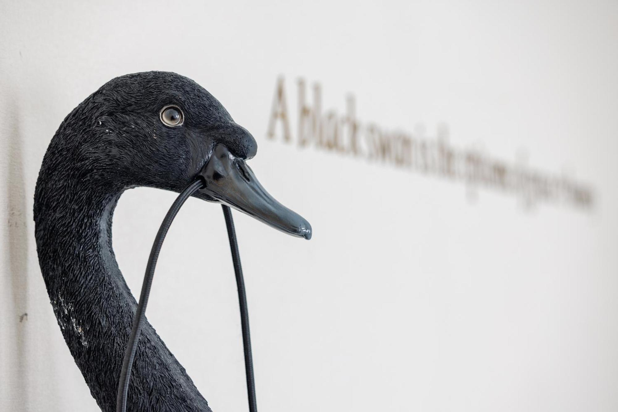 The Black Swan 3* Bruges